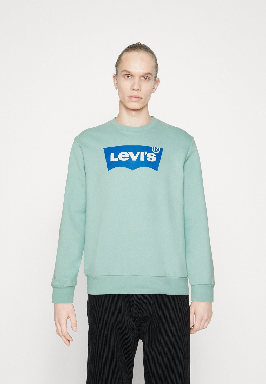 

Толстовка Levi's Standard Graphic Crew, пастельный бирюзовый, Зеленый