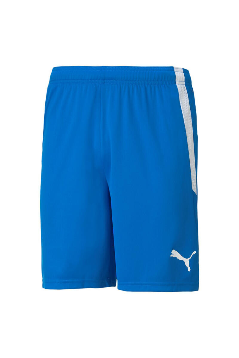 

Шорты TeamLIGA Puma, синий