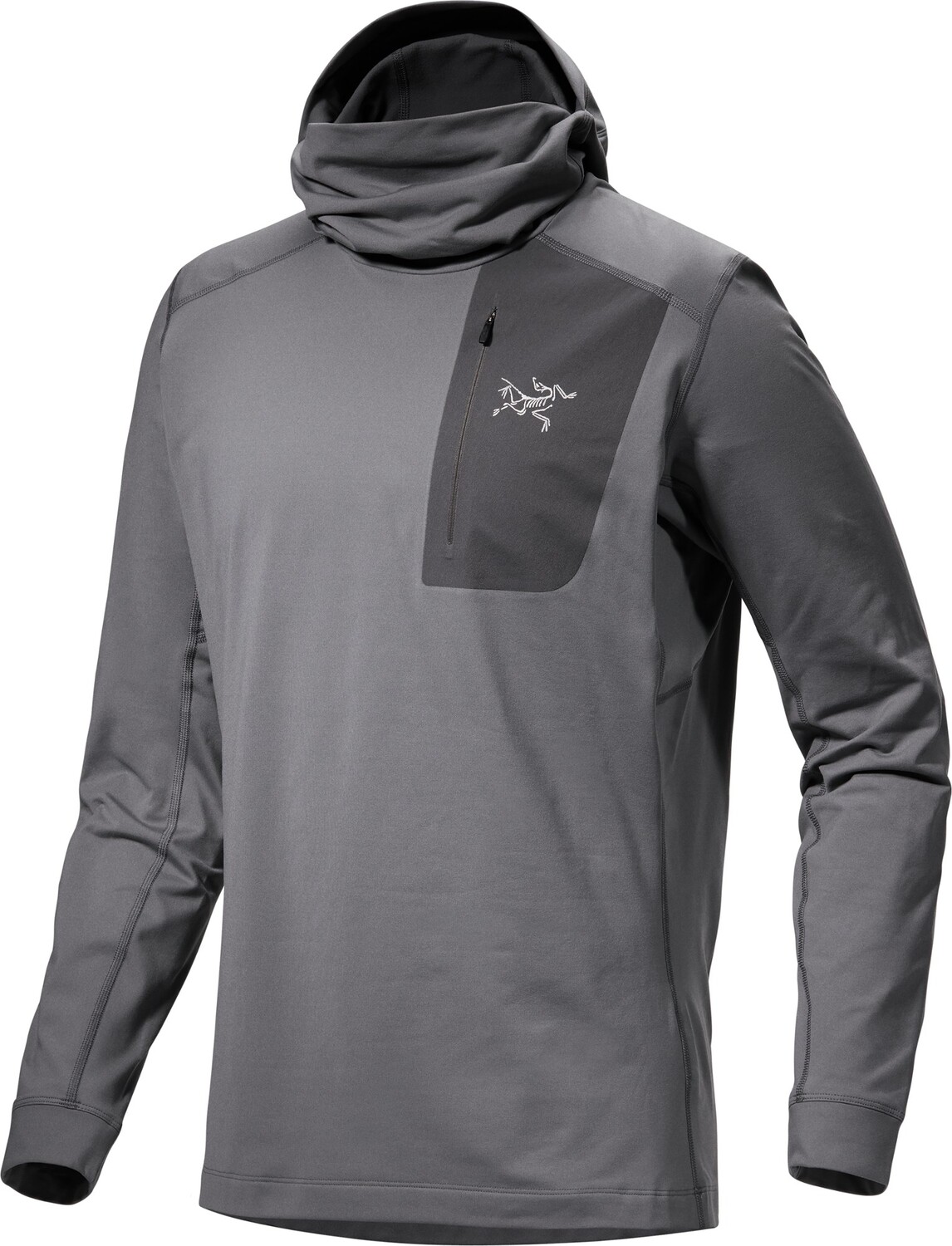 

Толстовка базового слоя Rho LT – мужская Arc'teryx, серый