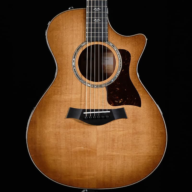 

Акустическая гитара Taylor 512CE Urban Ironbark Acoustic/Electric Guitar