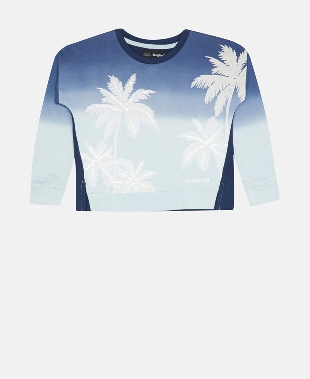 

Толстовка Desigual, индиго