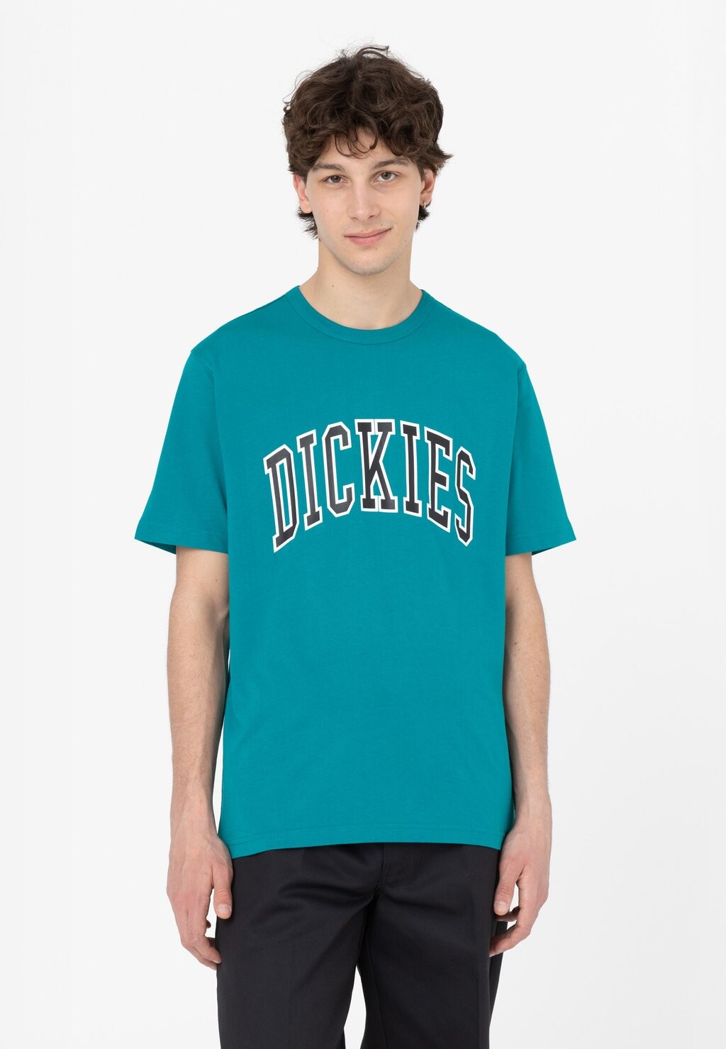 

Футболка с принтом Dickies, мультиколор, Синий