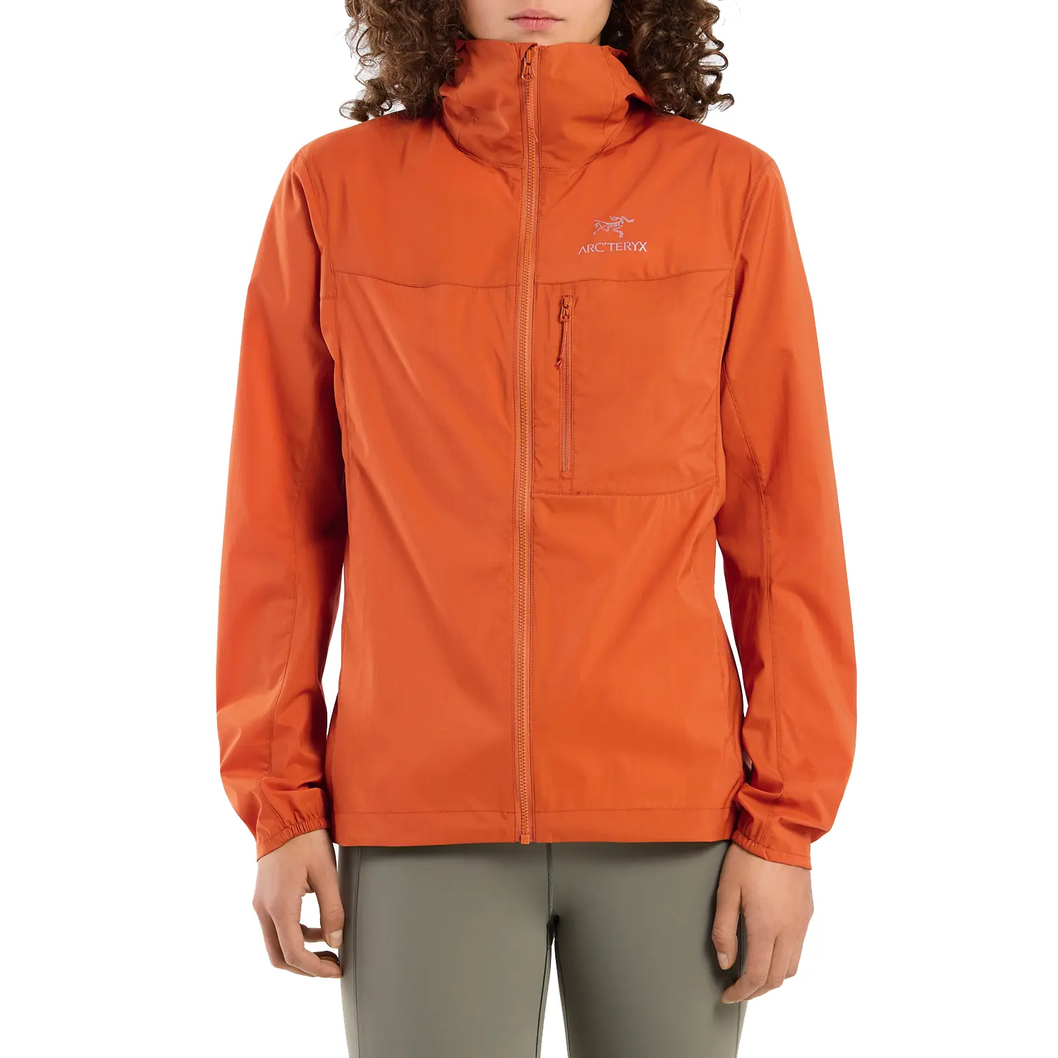 

Худи Arc'teryx Squamish, цвет Fika