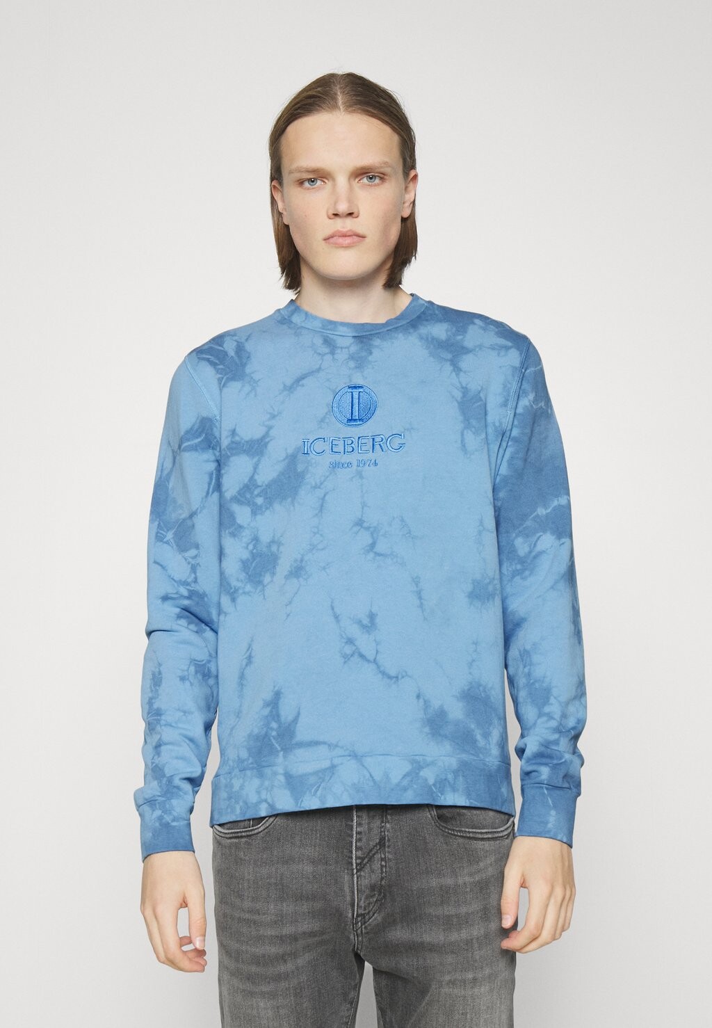 

Толстовка Iceberg