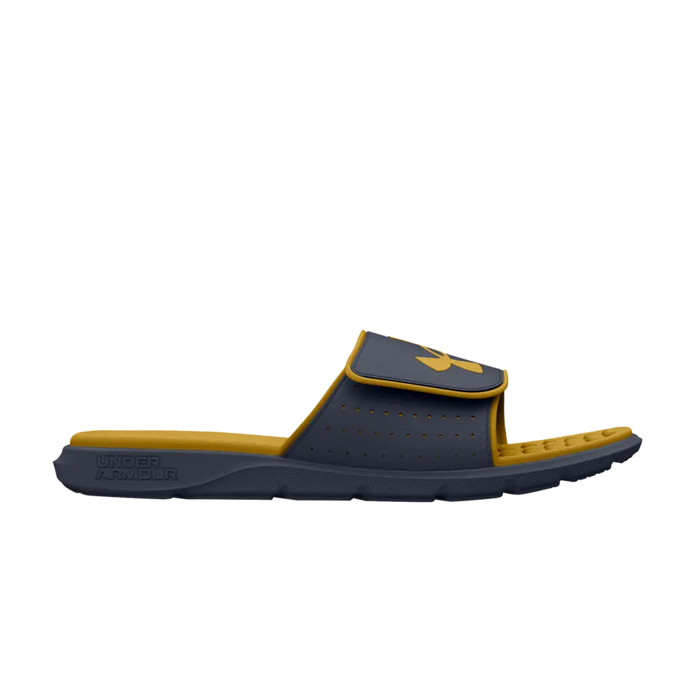 

Кроссовки Ignite Pro Slide Under Armour, серый