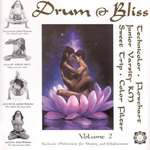 

Виниловая пластинка Drum & Bliss 2 / Various: Drum & Bliss 2 (Various Artists)