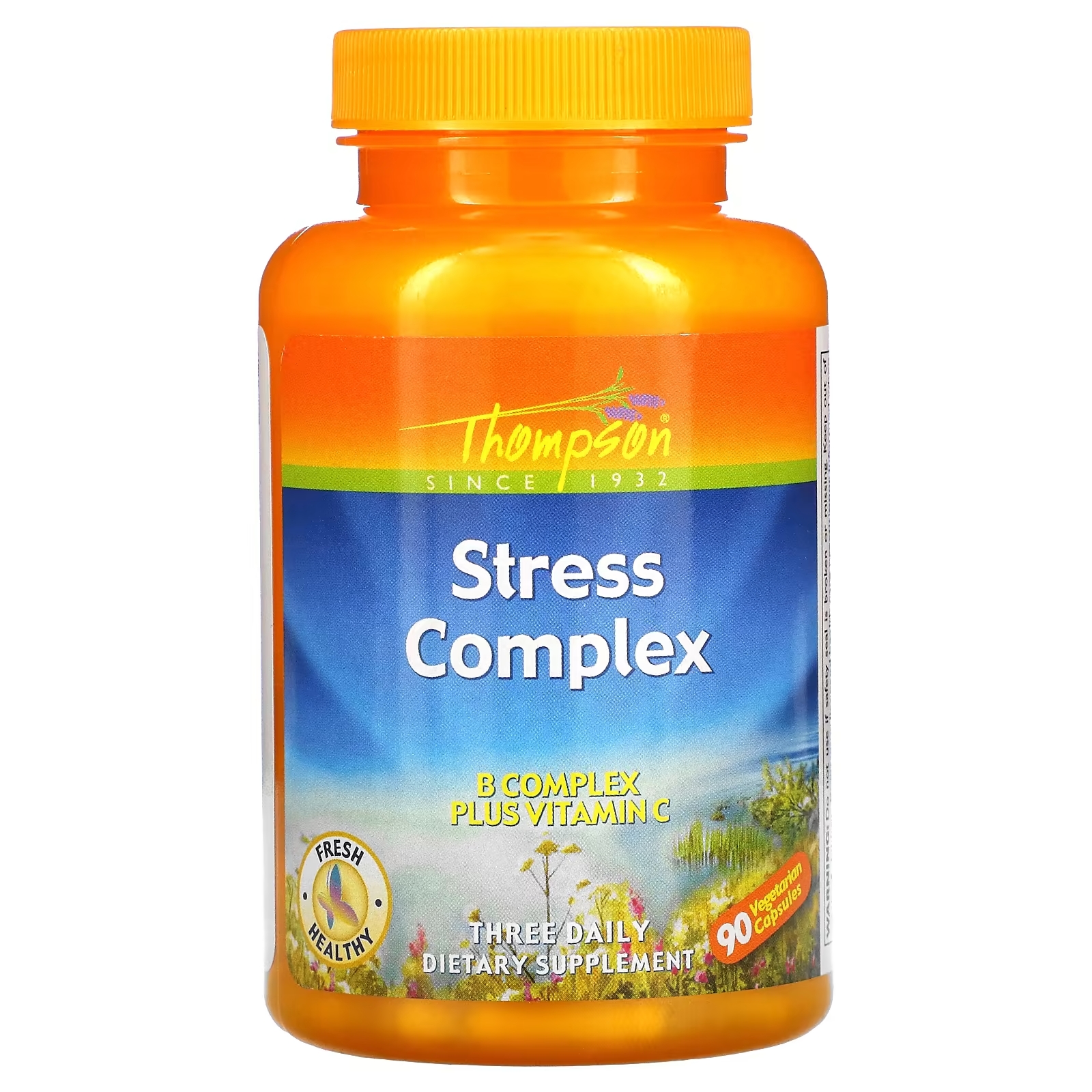 Thompson Витаминный комплекс Stress Complex, 90 растительных капсул витаминный комплекс повышение работоспособности улучшение памяти mind skills 90 капсул