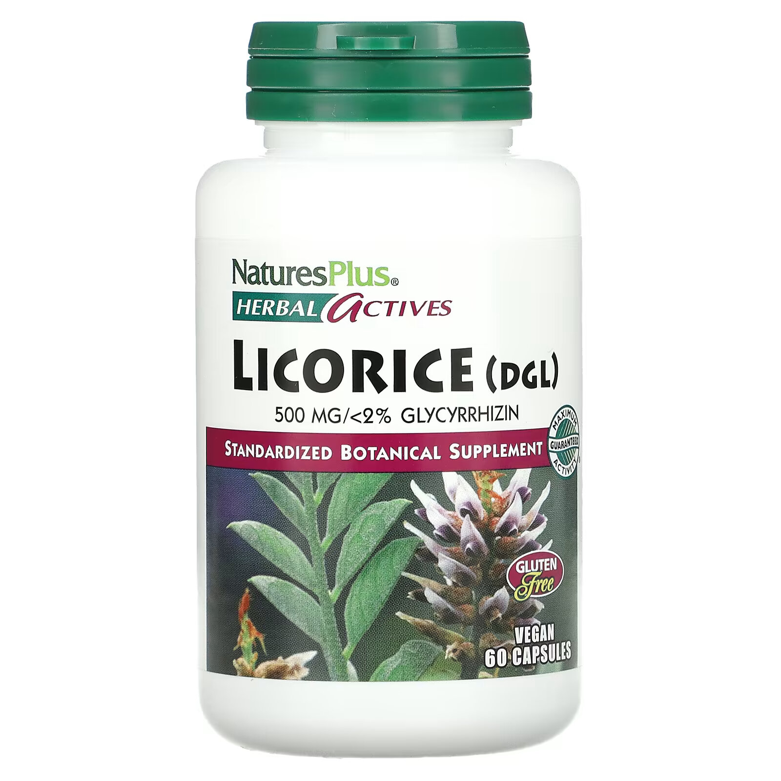 NaturesPlus, Herbal Actives, солодка (DGL), 500 мг, 60 вегетарианских  капсул – заказать с доставкой из-за рубежа через онлайн-сервис  «CDEK.Shopping»