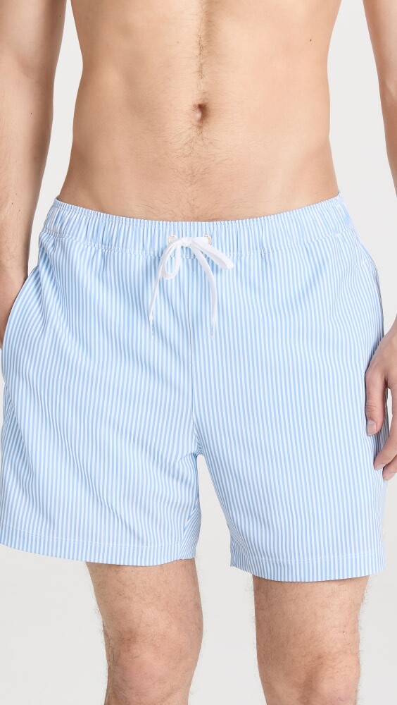 

Пляжные шорты Rhone R&R Swim Trunks, синий