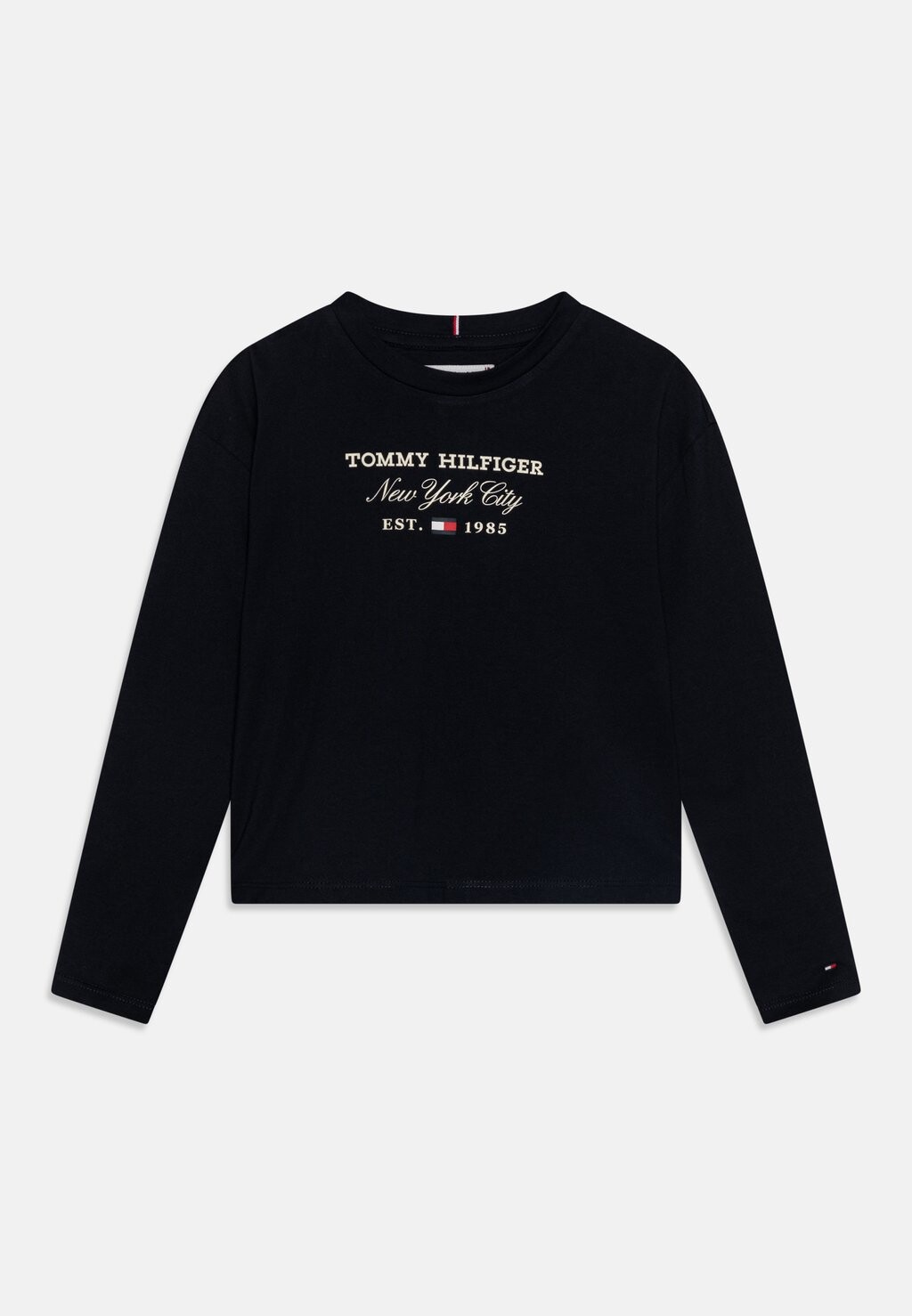 

Футболка с длинным рукавом Script Tommy Hilfiger, цвет desert sky
