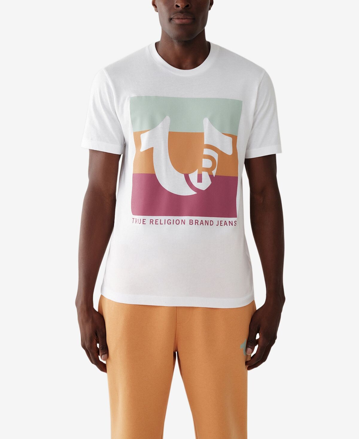 

Мужская футболка с короткими рукавами registered horseshoe True Religion, мульти
