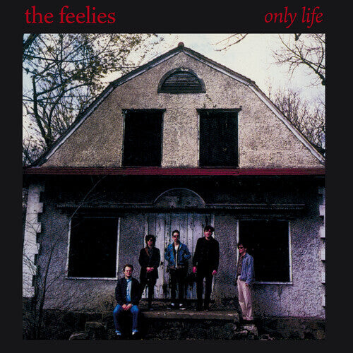 

CD диск Feelies: Only Life