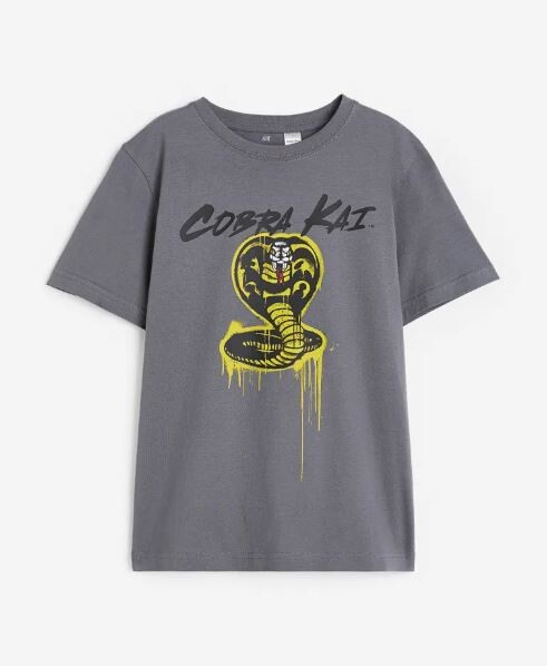 

Футболка с принтом H&M Cobra Kai, серый