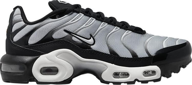 Кроссовки Nike Air Max Plus GS 'Black Metallic Silver', черный - фото