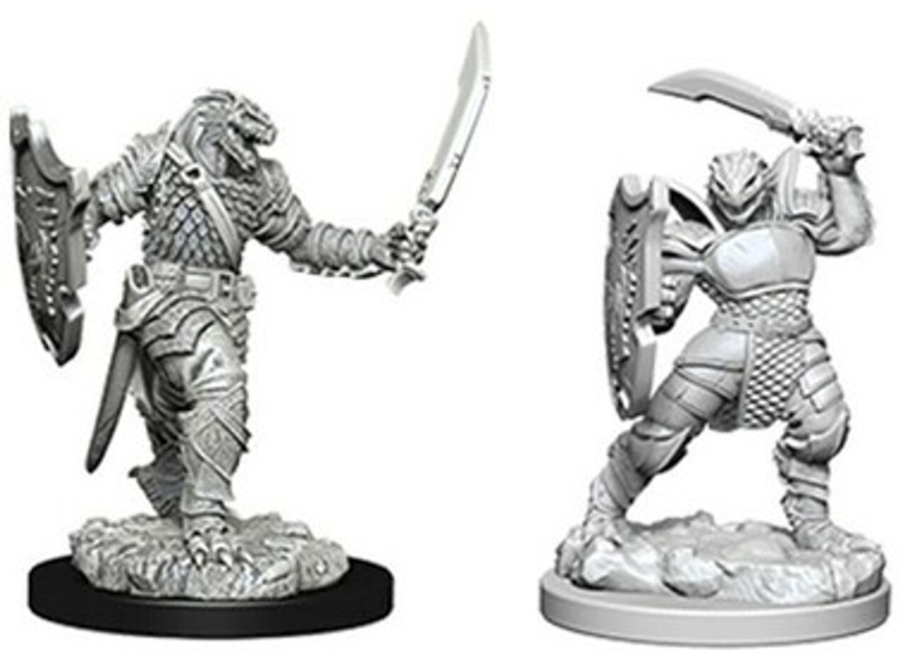 

Миниатюра Dungeons & Dragons: Nolzur's Marvelous Unpainted Miniatures: Dragonborn Female Paladin