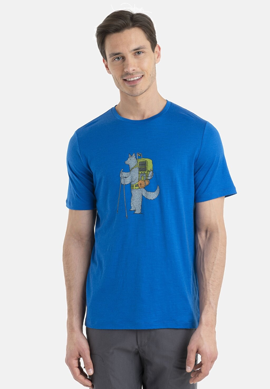 

Футболка с принтом Merino 150 Tech Lite Ii Ss Tee Tech Head Icebreaker, лазурит
