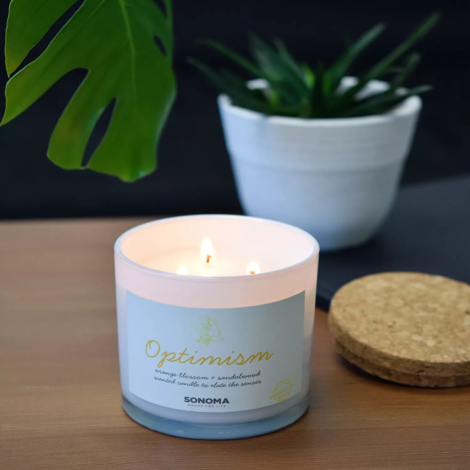 

Sonoma Goods For Life Spa Optimism Баночка для свечи с 3 фитилями