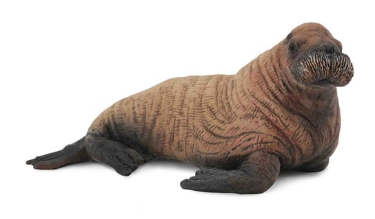 Collecta, Коллекционная статуэтка, Молодое млекопитающее моржа collecta динозавр игуанодон статуэтка предмет коллекционирования