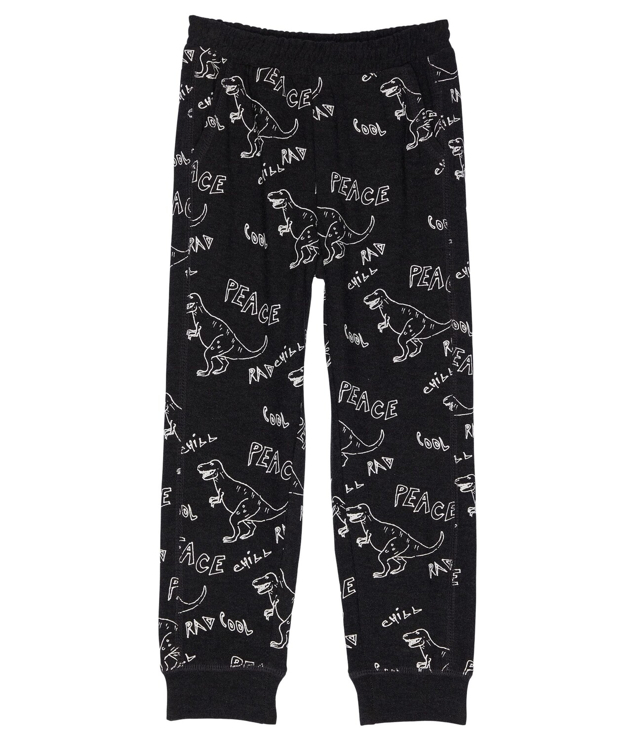 

Брюки Chaser Kids, Dino Jam Pants RPET Cozy Knit Beach Joggers