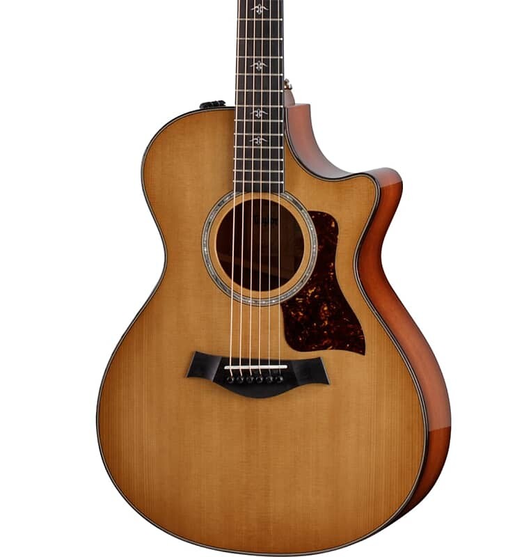 

Taylor 512ce Urban Ironbark/Torrefied Sitka с чехлом