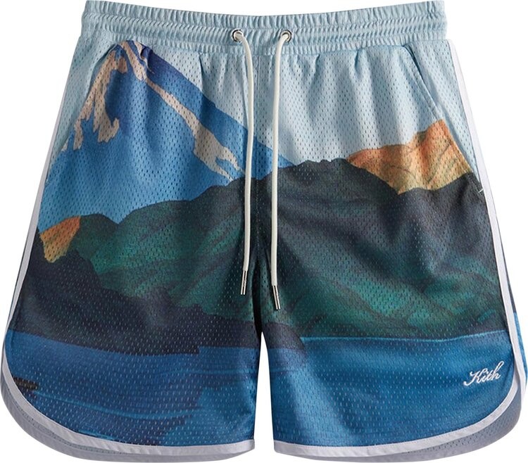 

Шорты Kith Printed Jordan Mesh Short 'Current', разноцветный