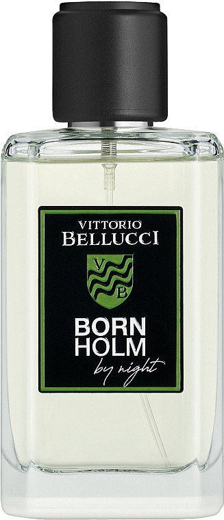 Туалетная вода Vittorio Bellucci Born Holm By Night kokorico by night туалетная вода 100мл уценка