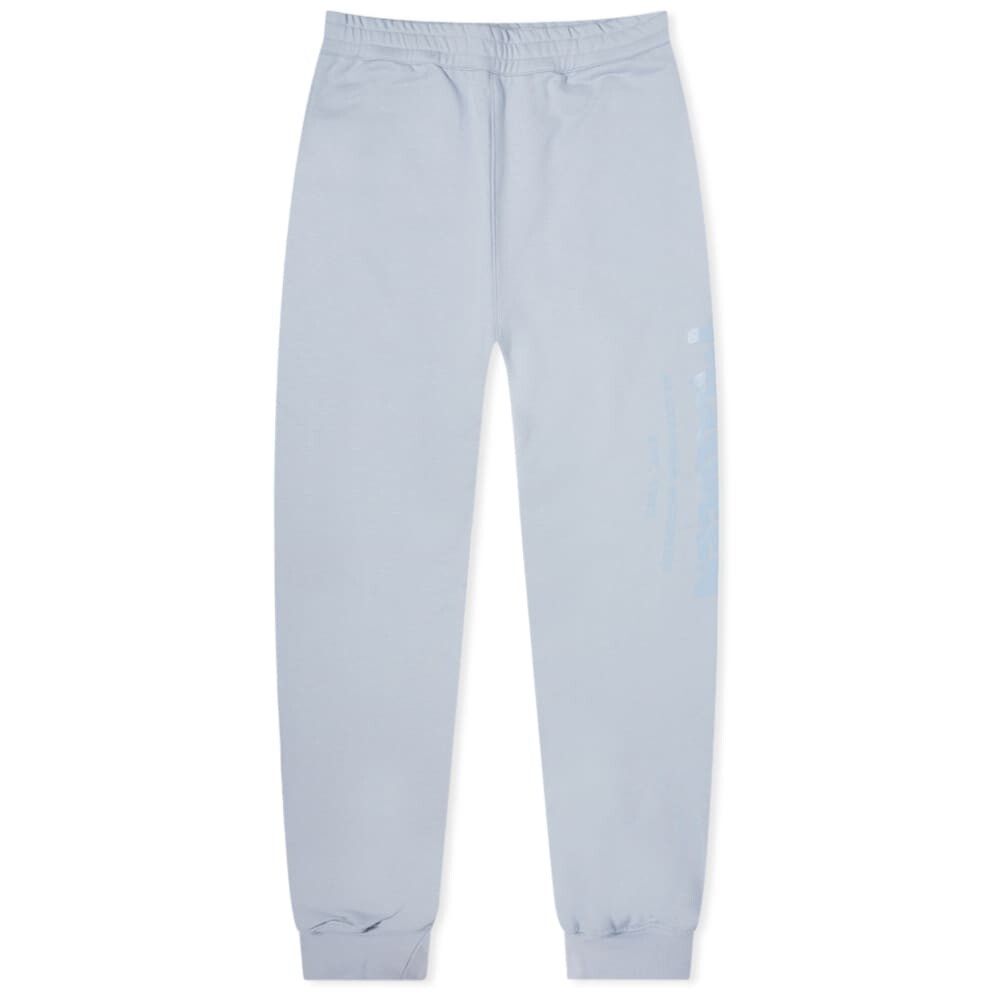 

Спортивные штаны Alexander McQueen, Серый