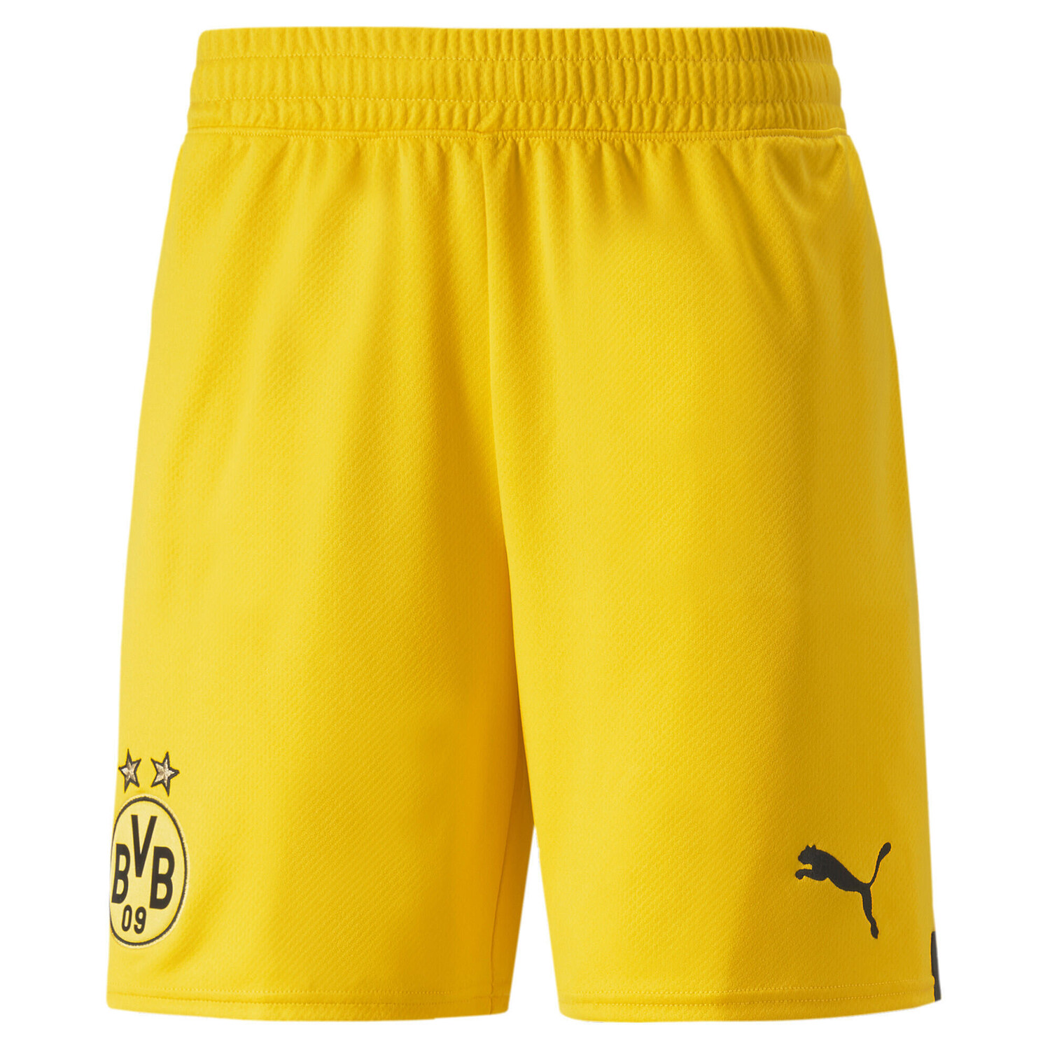 

Мужские шорты Borussia Dortmund 22/23 PUMA