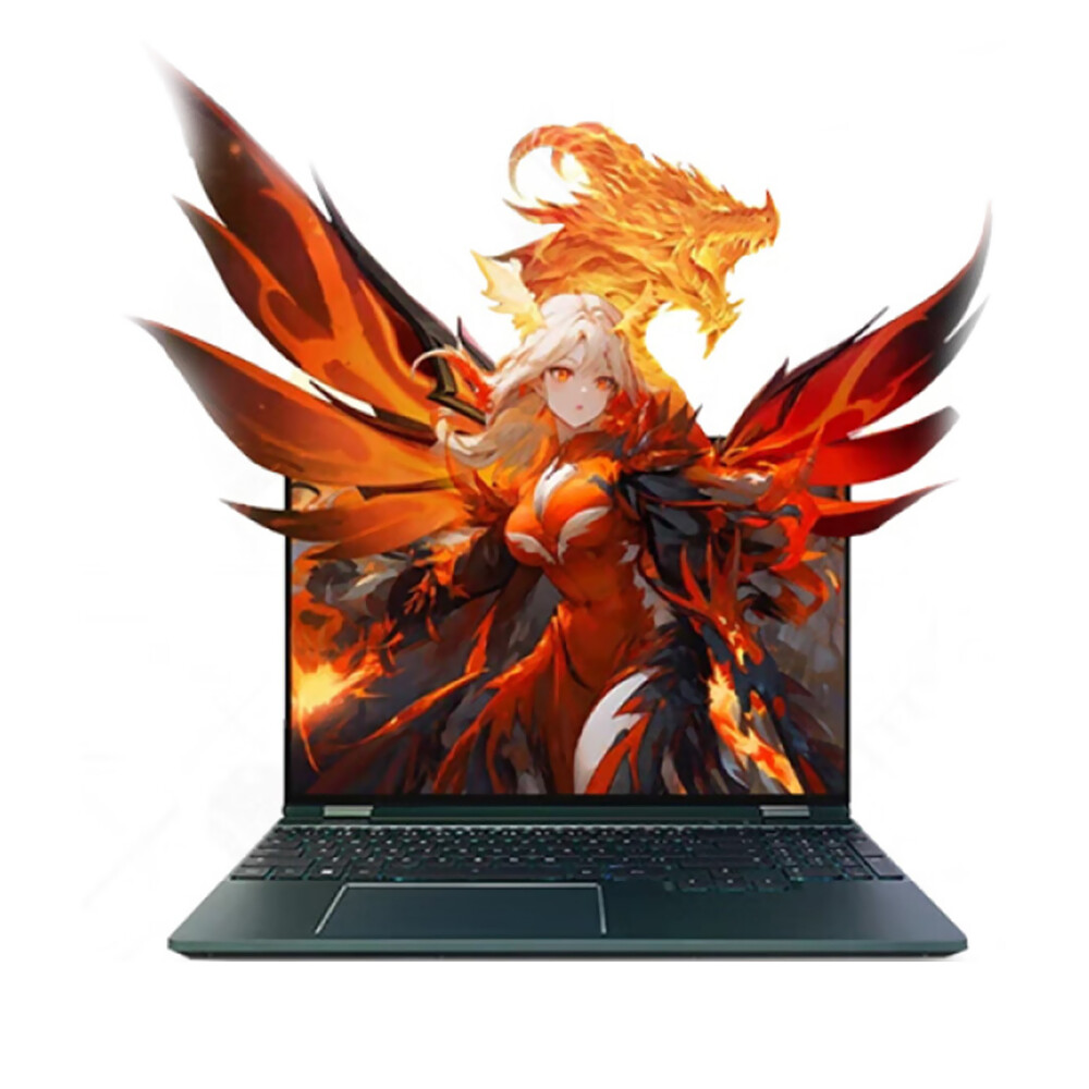 

Игровой ноутбук Mechrevo Wing Loong 15 Pro, 15.3", 16 ГБ/2 ТБ, R7-8845H, RTX 4060, темно-зеленый, английская клавиатура