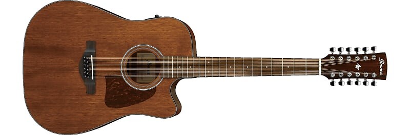 

Серия Ibanez Artwood AW5412CE