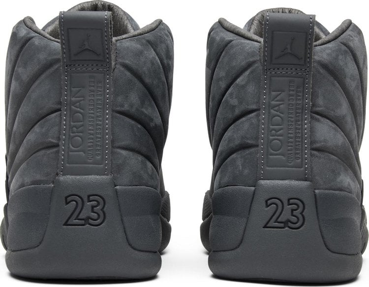 Air jordan 12 store retro psny