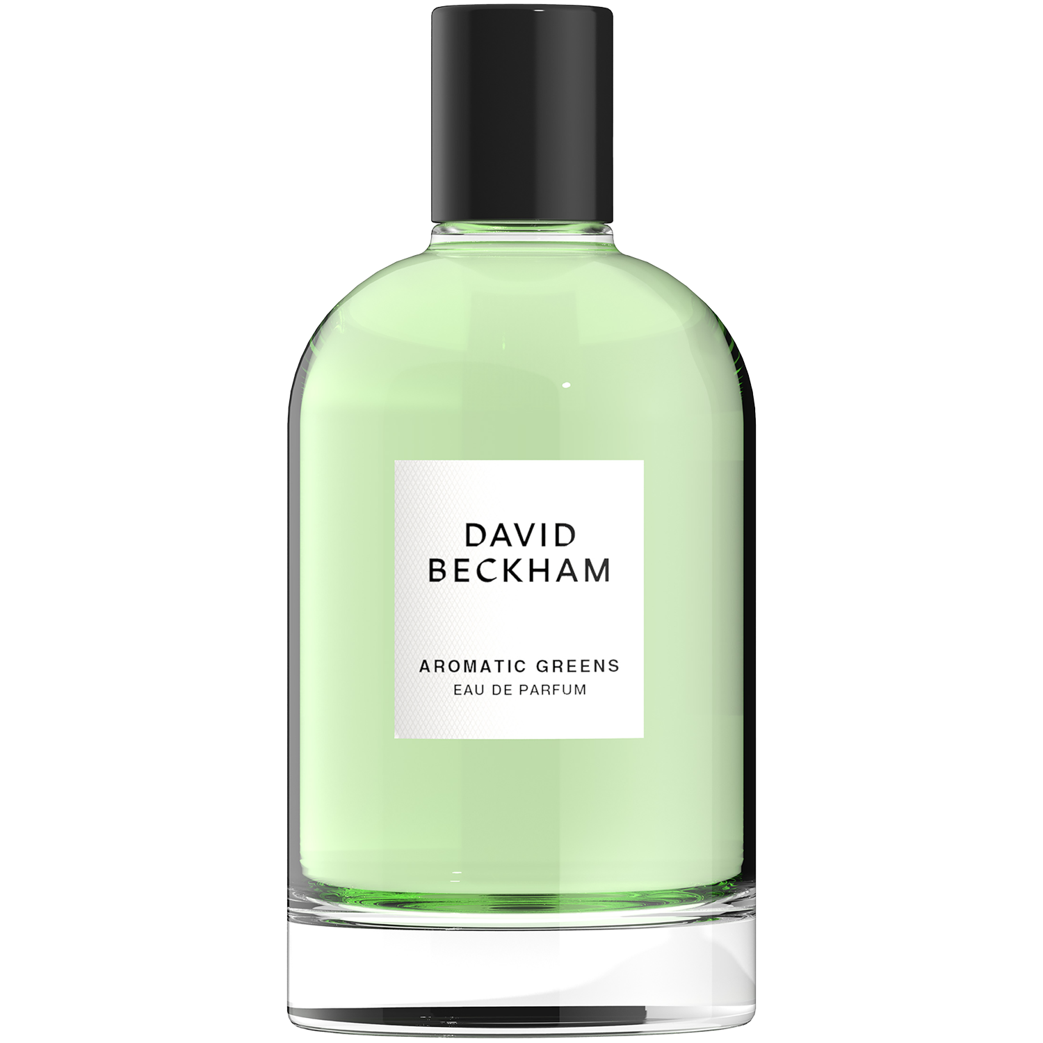 David Beckham Collection Aromatic Greens парфюмированная вода для мужчин, 100 мл - фото