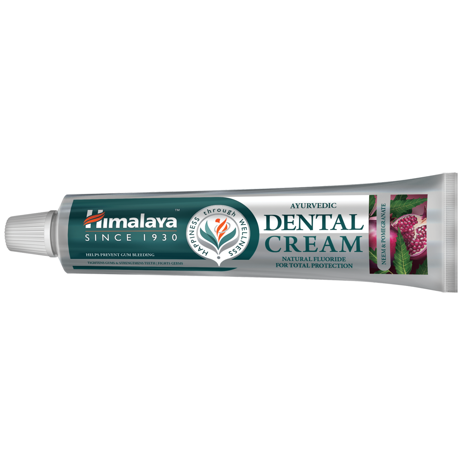 Himalaya Herbals Dental Cream зубная паста с натуральным фтором, 100 г зубная паста профилактическая himalaya herbals dental cream 100 гр