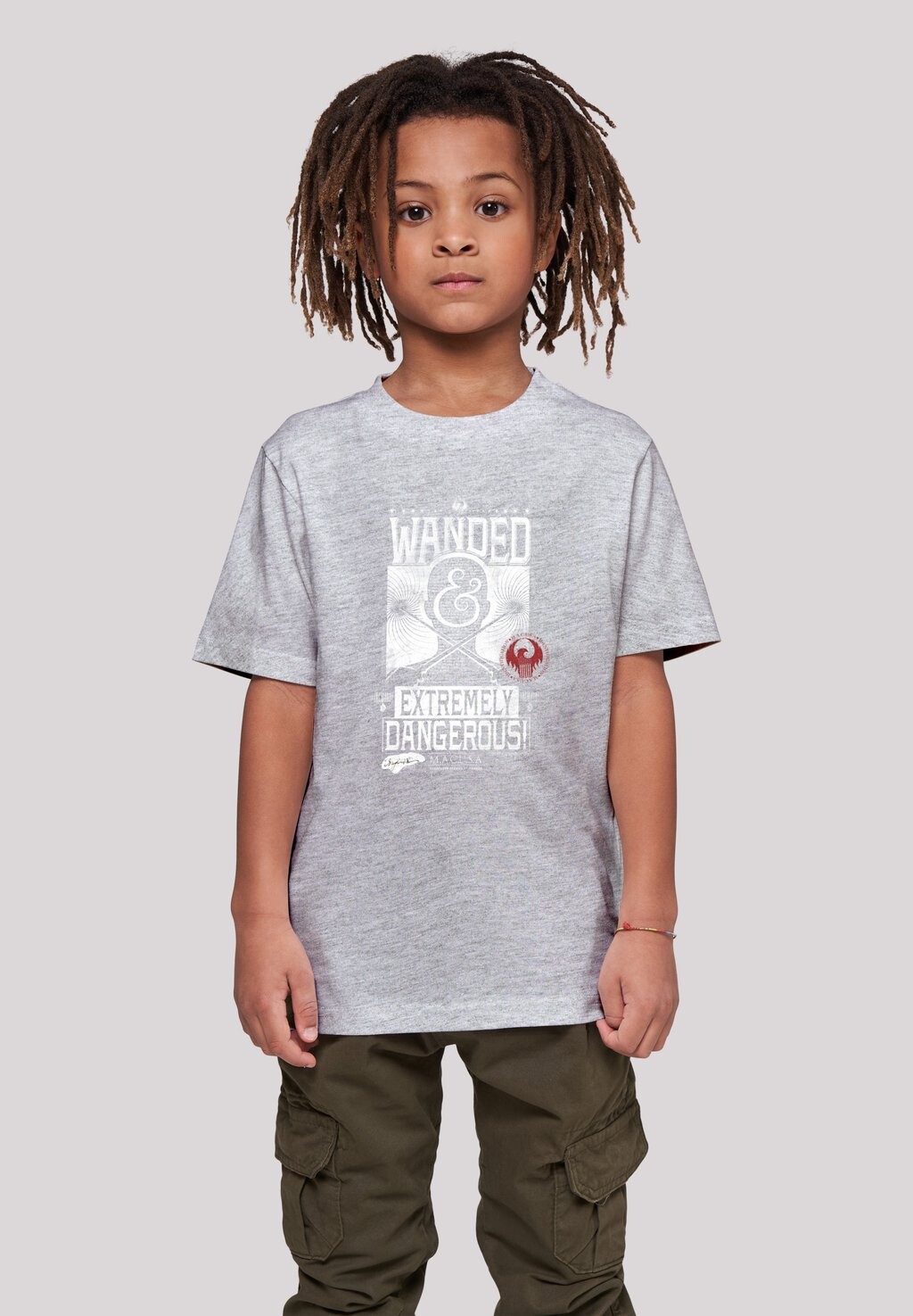 

Футболка с принтом Beasts Wanded And Extremely Dangerous F4NT4STIC, цвет heather grey