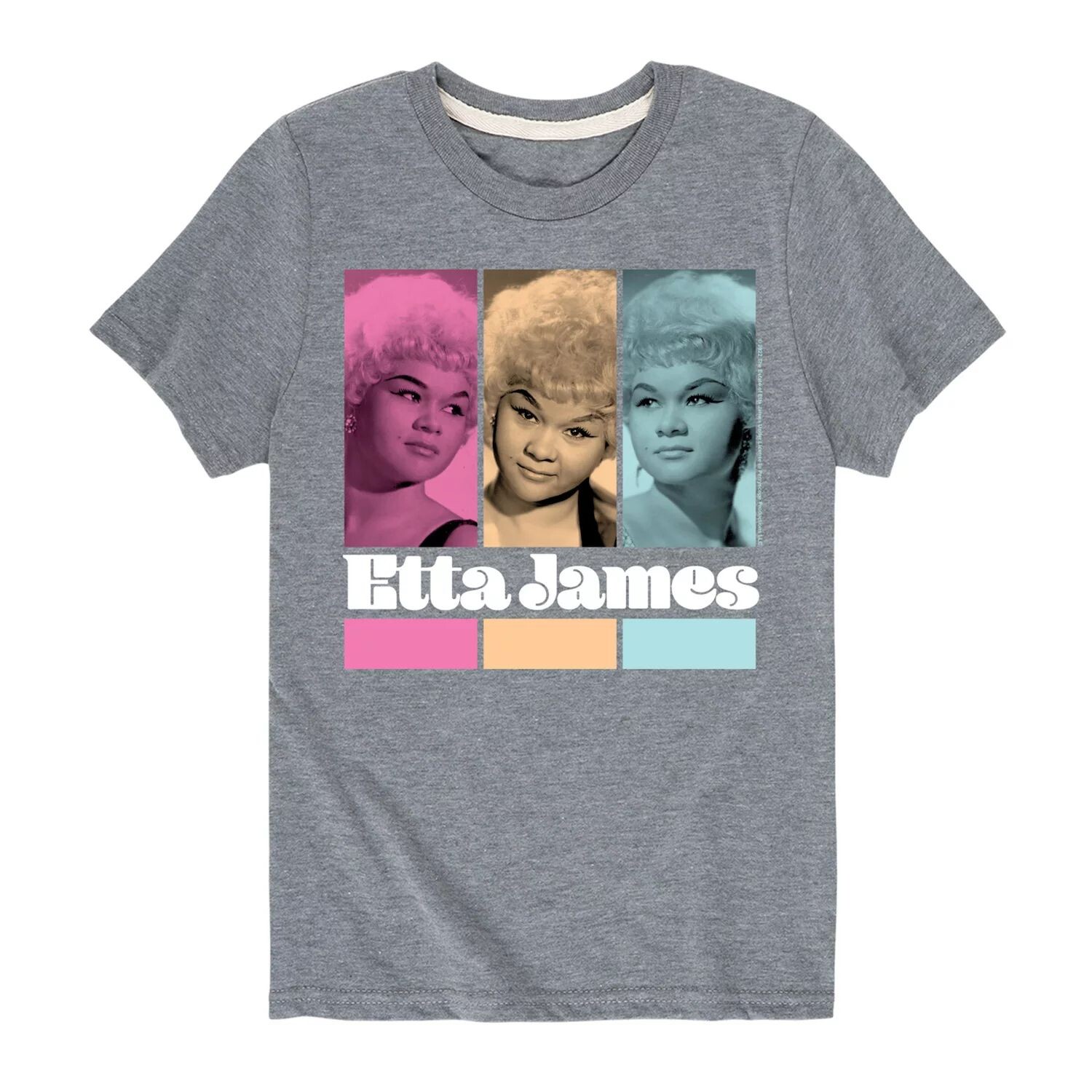 

Футболка Etta James Trio для мальчиков 8–20 лет Licensed Character, серый