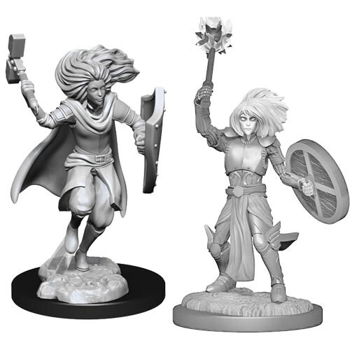 

Миниатюра WizKids/NECA D&D Nolzur's Marvelous Unpainted Minis: W14 Male Changeling Cleric