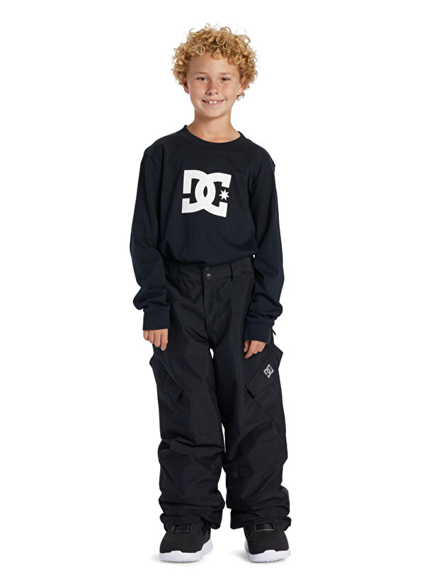 Сноубордические брюки для мальчиков banshee youth Dc