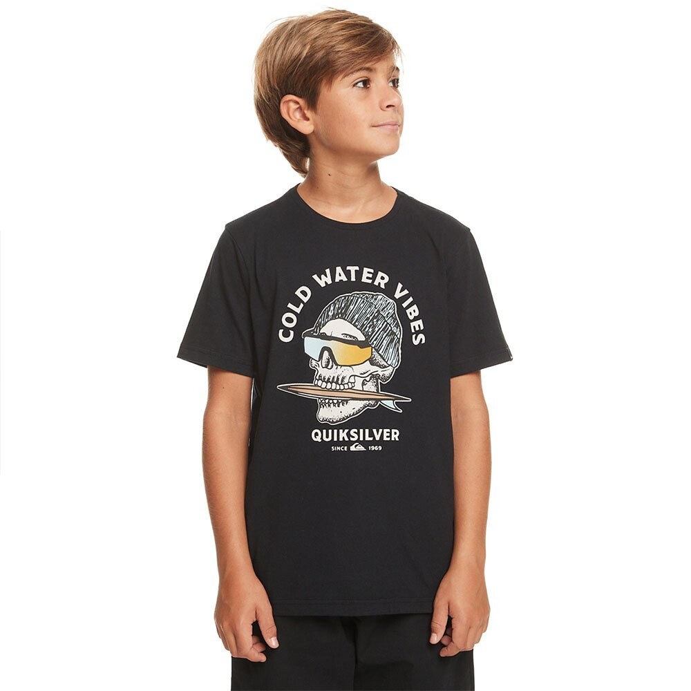 

Футболка Quiksilver Skull, черный