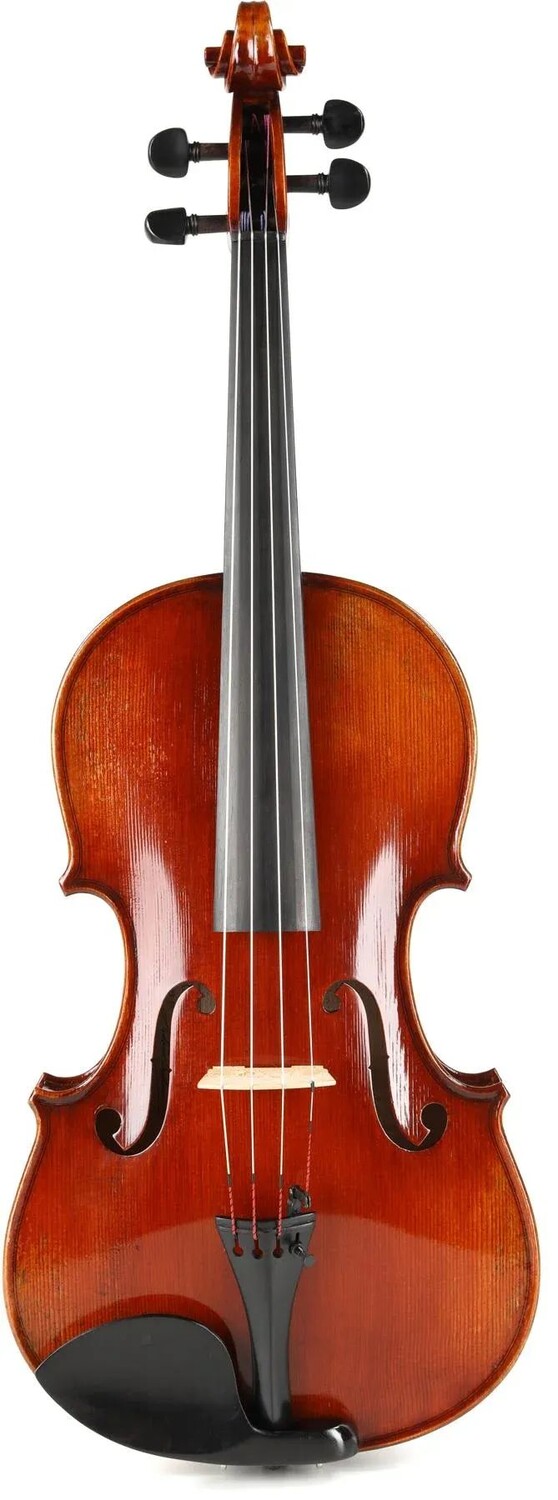 

Профессиональная альт Eastman VA701 Rudoulf Doetsch — 15,5 дюймов