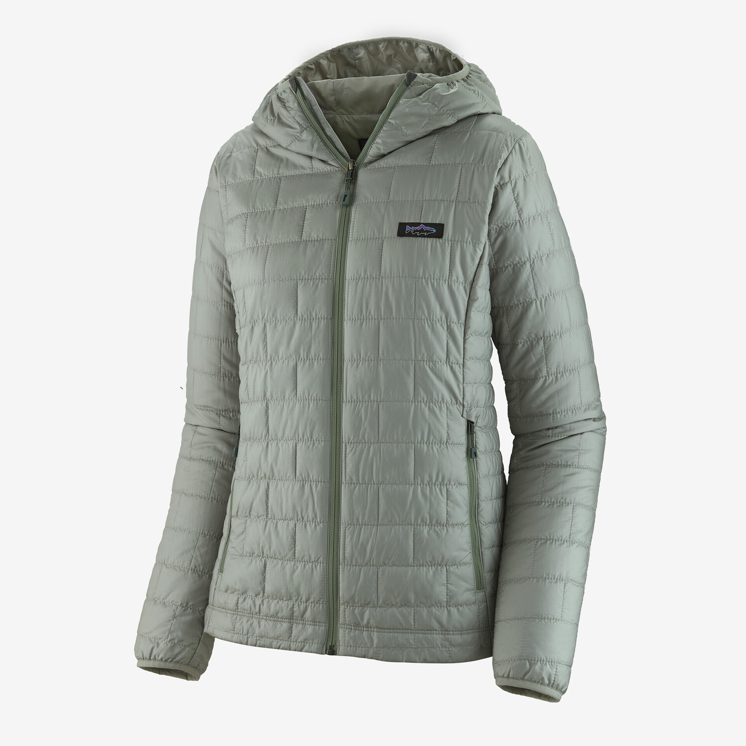 

Женская толстовка Nano Puff Fitz Roy Trout Patagonia, цвет Sleet Green