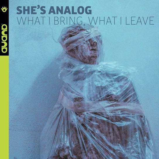 Виниловая пластинка She's Analog - What I Bring What I Leave