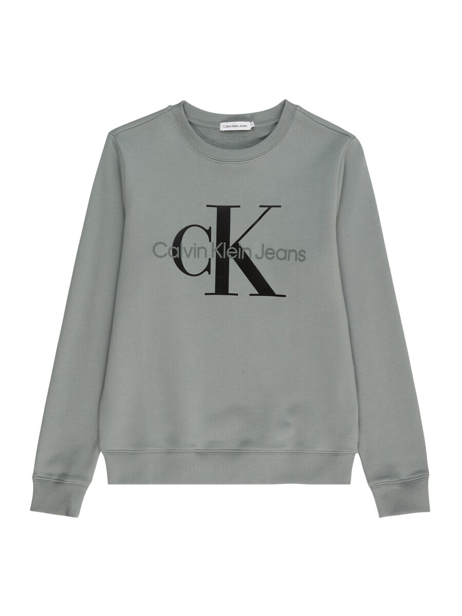 

Толстовка Calvin Klein, цвет Reed