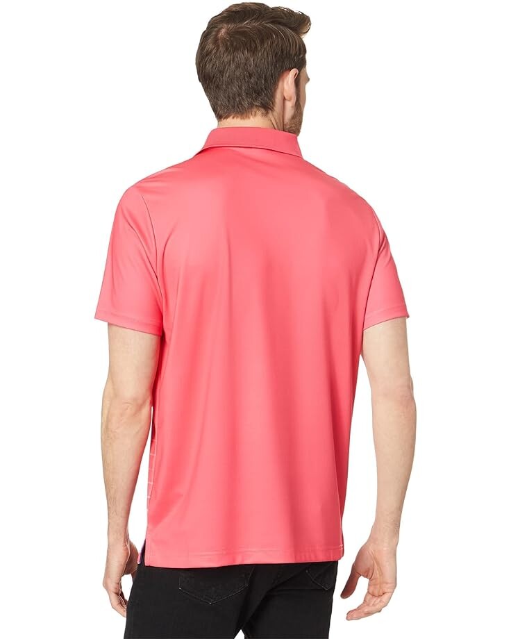 

Поло U.S. POLO ASSN. Horizontal Fade Stripe Knit Polo Shirt, цвет Rouge Red