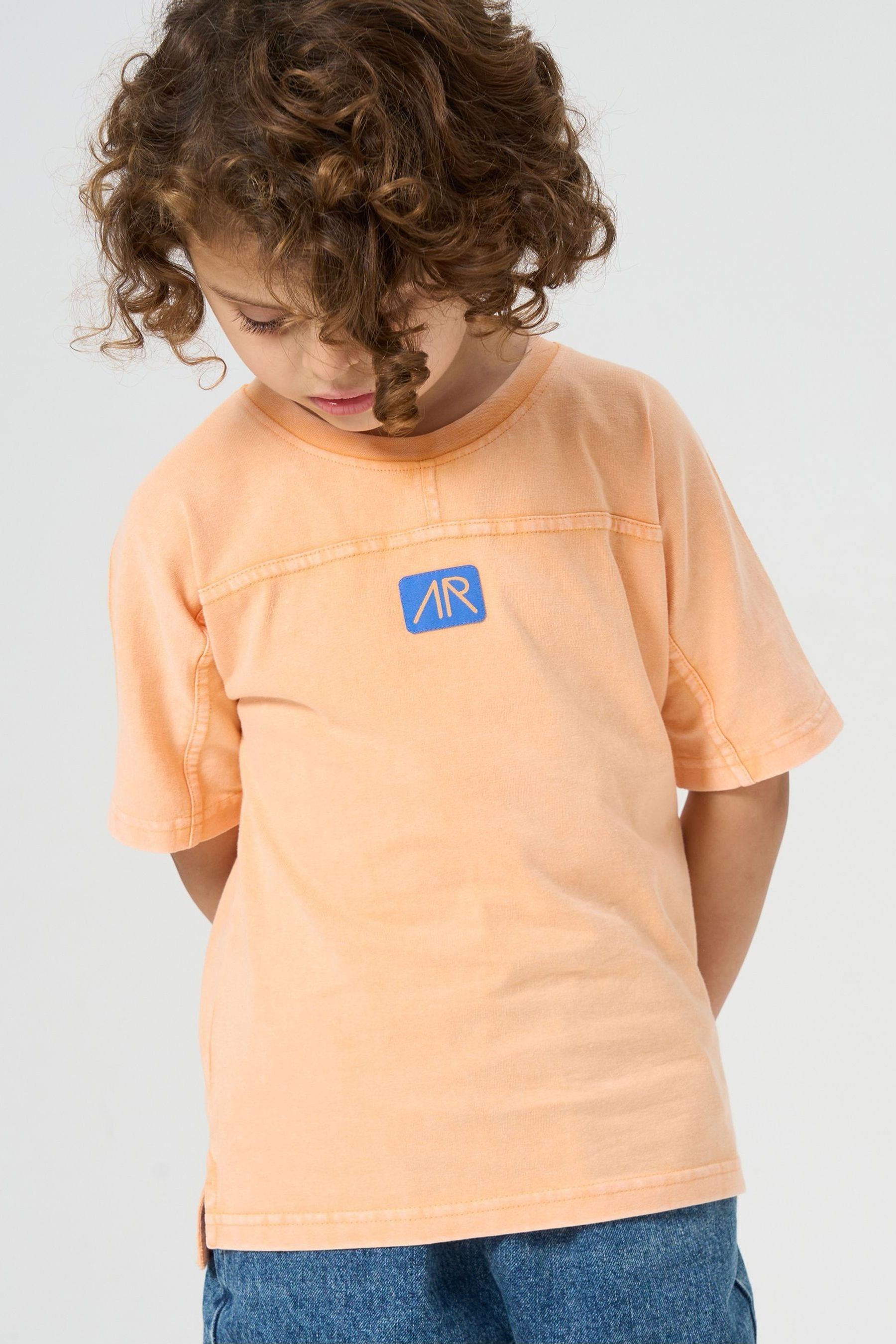 Оранжевая футболка Evan с стираным эффектом Angel & Rocket, оранжевый футболка laredoute футболка evan объемного покроя s оранжевый