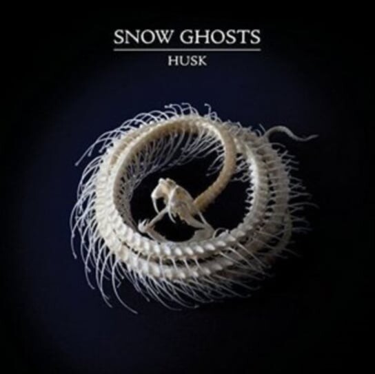 

Виниловая пластинка Snow Ghosts - Husk