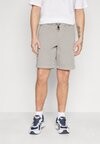 

Шорты DPPARACHUTE Denim Project, серый