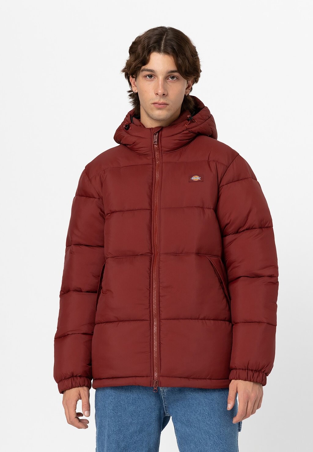 

Зимняя куртка Dickies, Коричневый