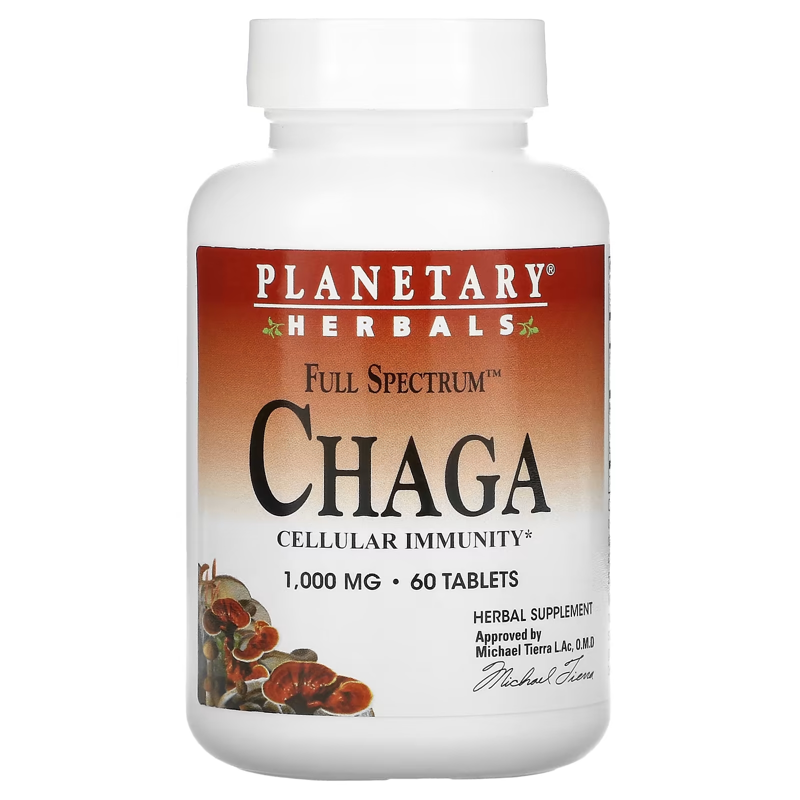 Planetary Herbals Full Spectrum чага 1000 мг, 60 таблеток planetary herbals chaga full spectrum 1000 mg 30 tablets