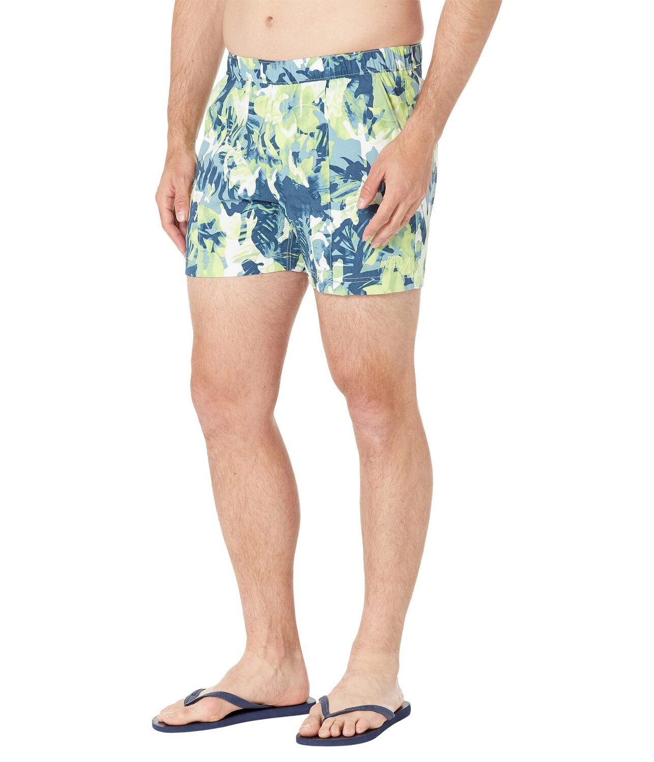 

Шорты The North Face, Printed Class V 5" Pull-On Shorts