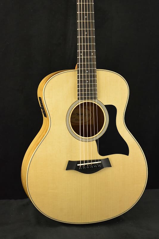 

Taylor GS Mini-e African Ziricote